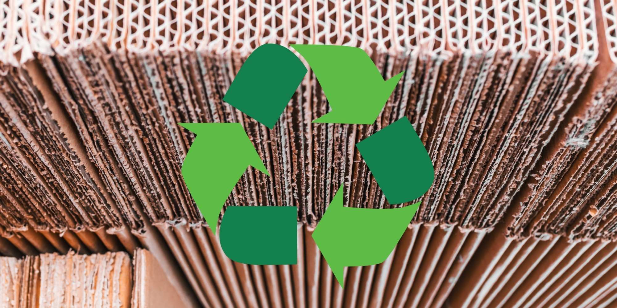 Warehouse worker picking items for e-commerce orders.